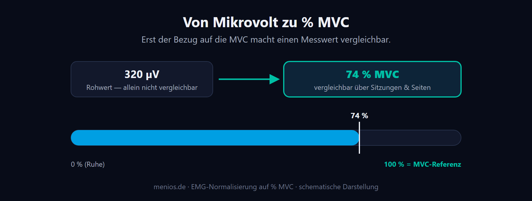 Von Mikrovolt zu Prozent MVC: warum erst die Normalisierung Werte vergleichbar macht.