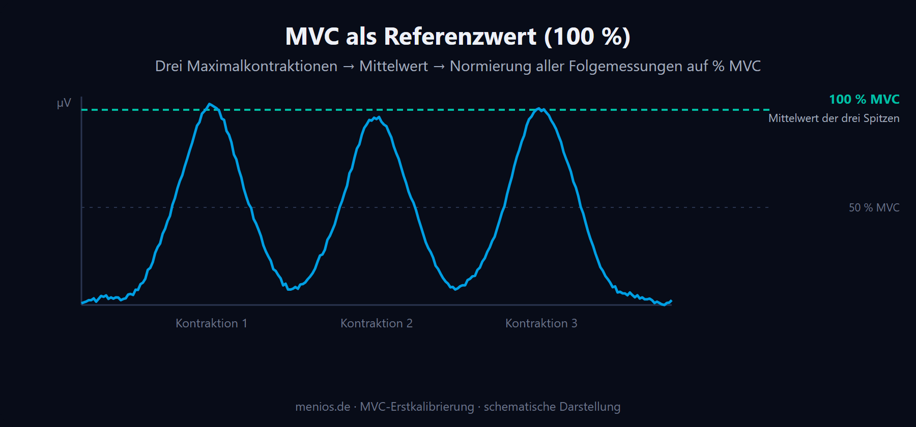 MVC-Erstkalibrierung: drei Maximalkontraktionen, gemittelt zum 100-Prozent-Referenzwert.