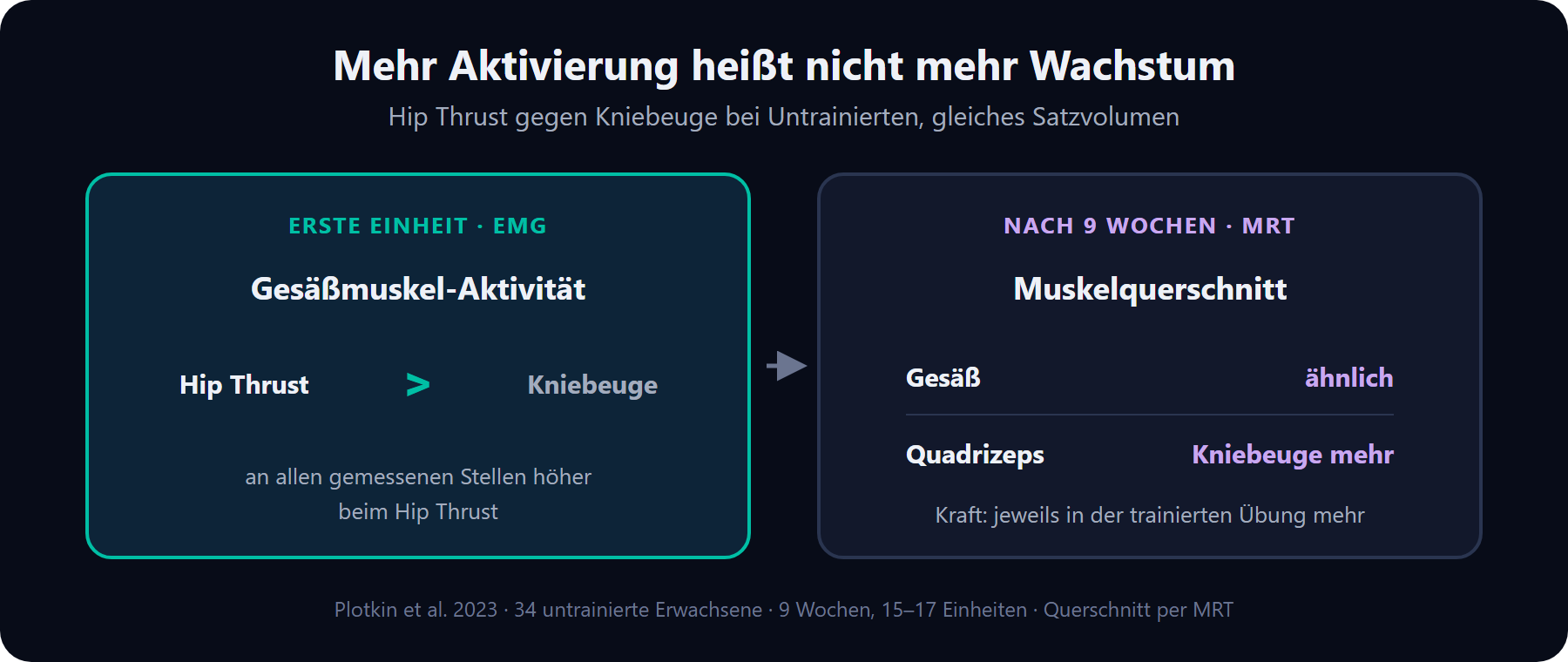 Mehr Aktivierung heißt nicht mehr Wachstum: In der ersten Einheit zeigte der Hip Thrust höhere Gesäßmuskel-EMG-Werte als die Kniebeuge. Nach neun Wochen war der Zuwachs des Gesäßmuskel-Querschnitts ähnlich, der Quadrizeps wuchs mit der Kniebeuge stärker.